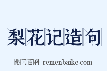 梨花记造句是什么意思的图片